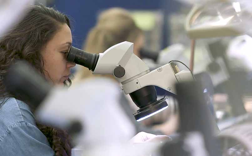 Inspection using microscope